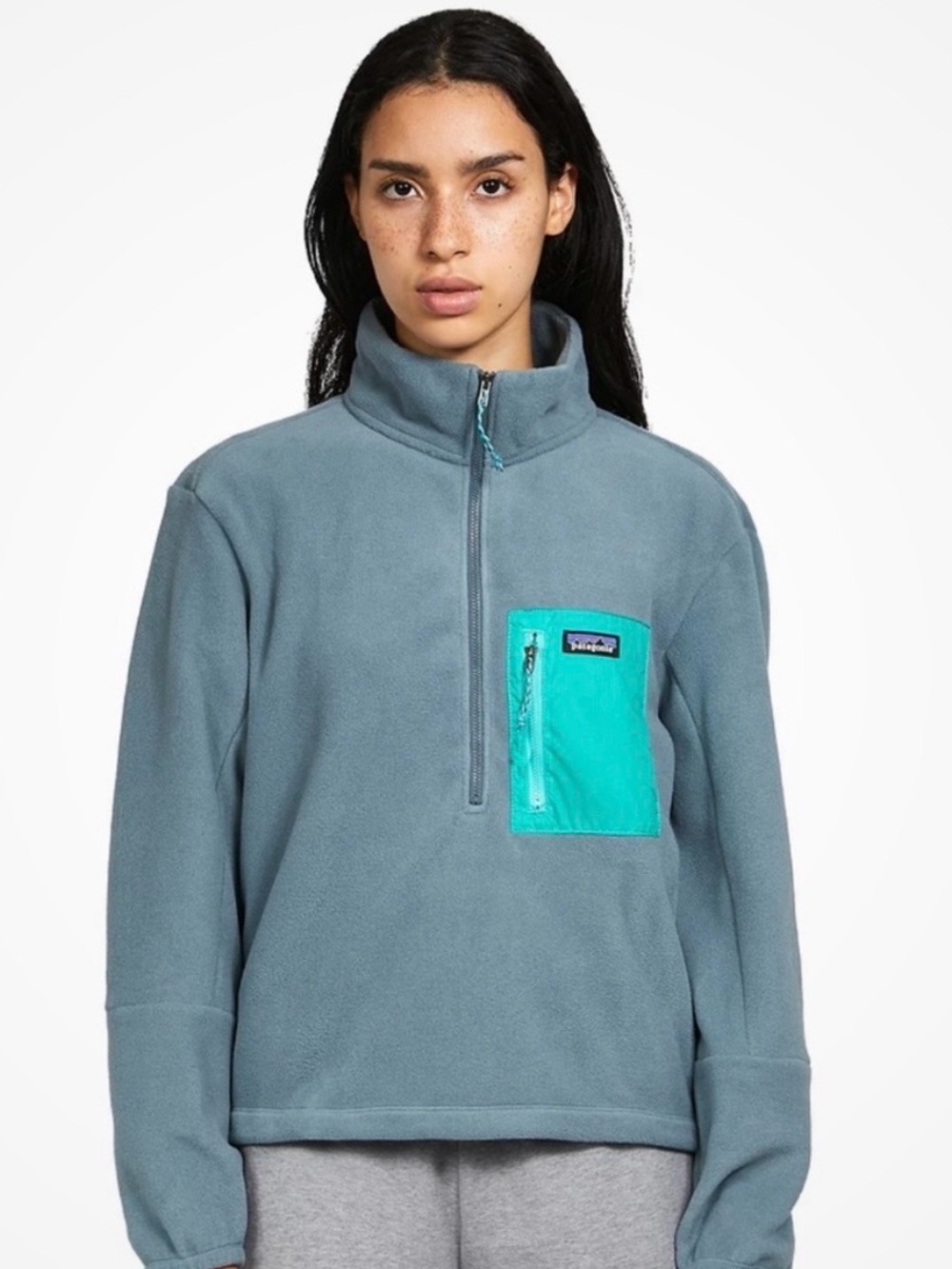 NWT Patagonia Grey Blue Microdini 1/2 Zip Fleece Size XS